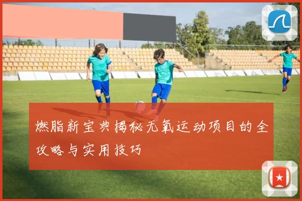 燃脂新宝典揭秘无氧运动项目的全攻略与实用技巧