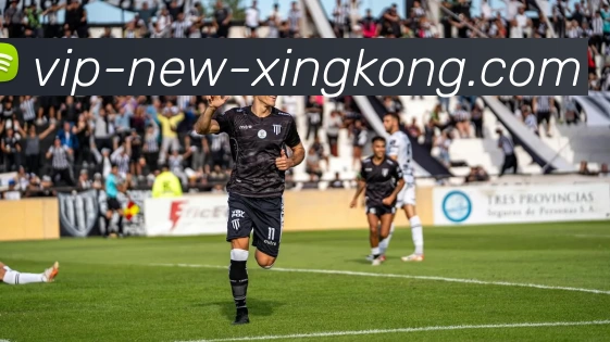 XINGKONG平台生态图